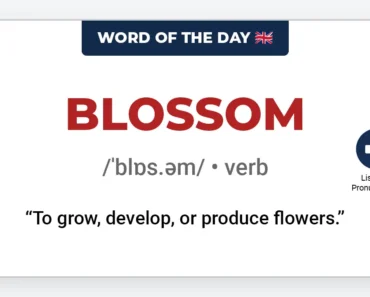 Word of the Day: Blossom Word of the Day: Blossom